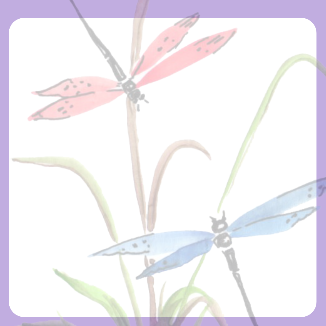 Dragonfly Sticky Notes