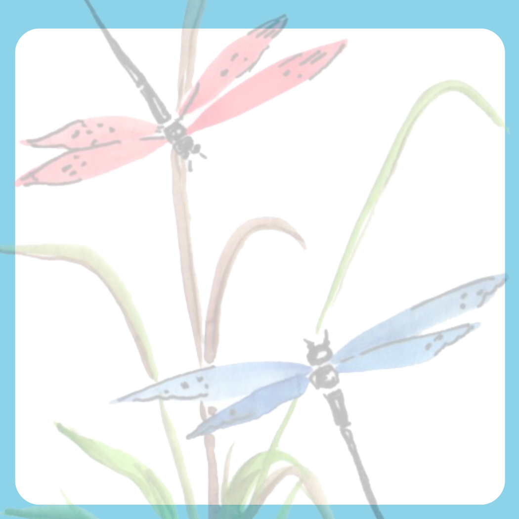 Dragonfly Small Lineless Notepad
