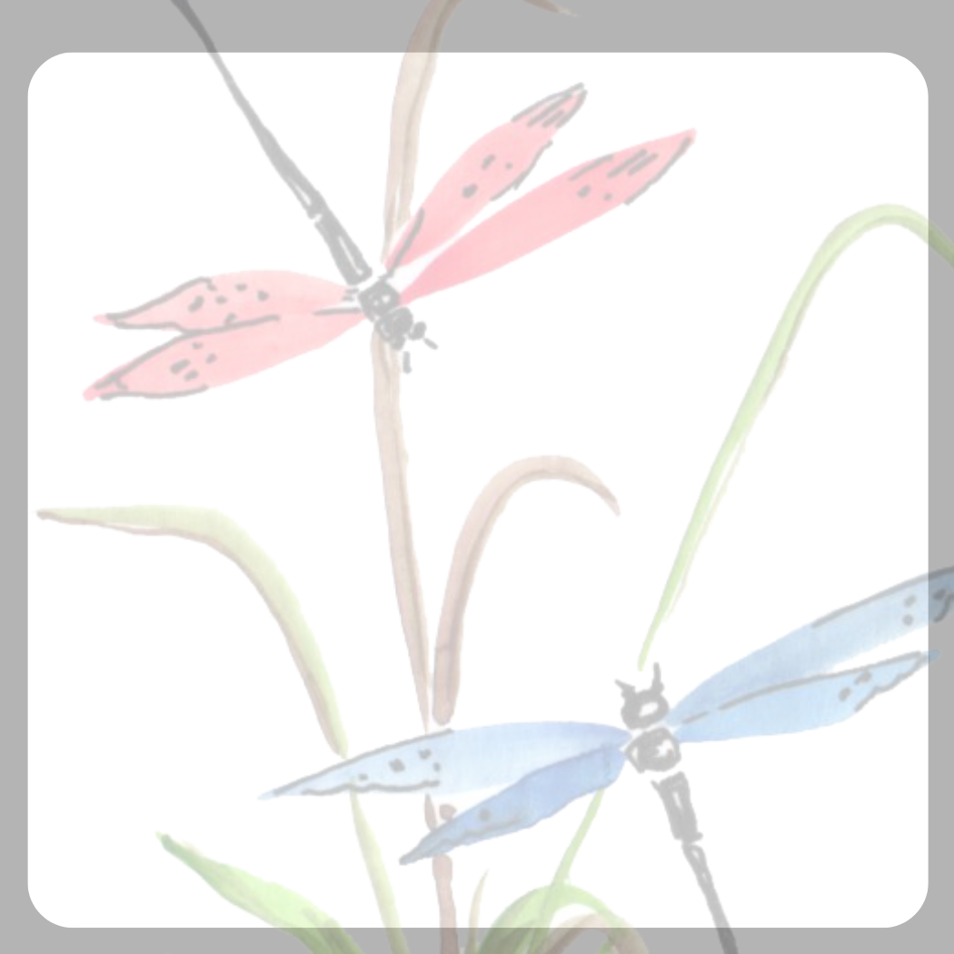 Dragonfly Small Lineless Notepad